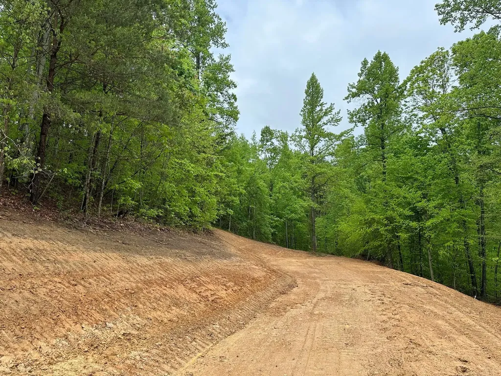 245 Mcconnell Branch Road Olive Hill KY 41164