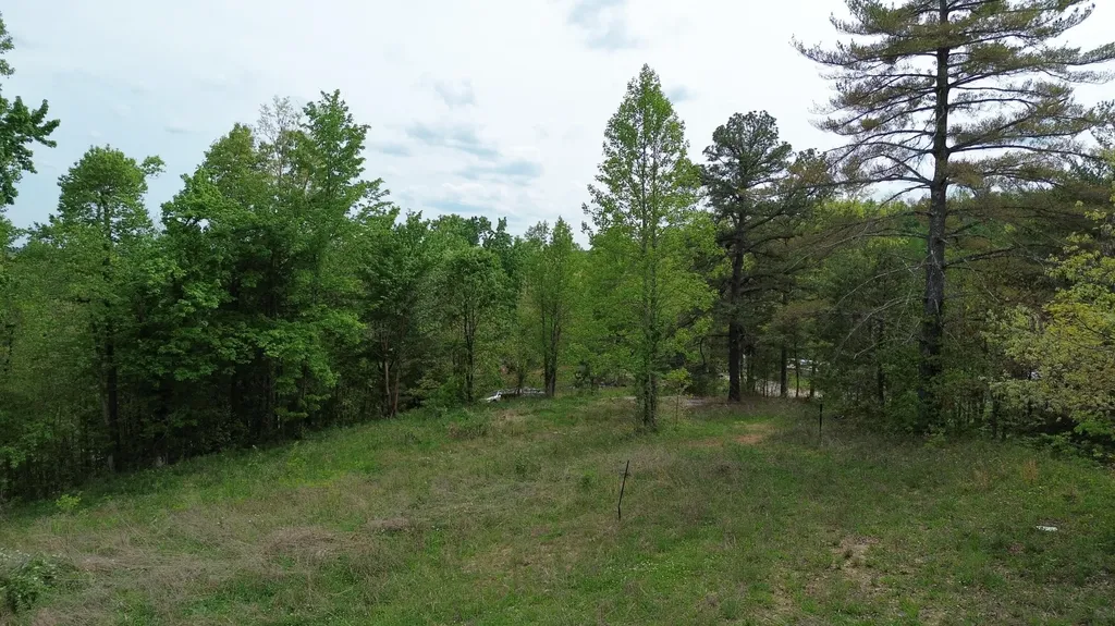 245 Mcconnell Branch Road Olive Hill KY 41164