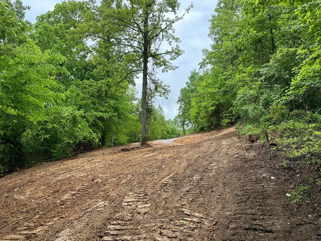 245 Mcconnell Branch Road Olive Hill KY 41164