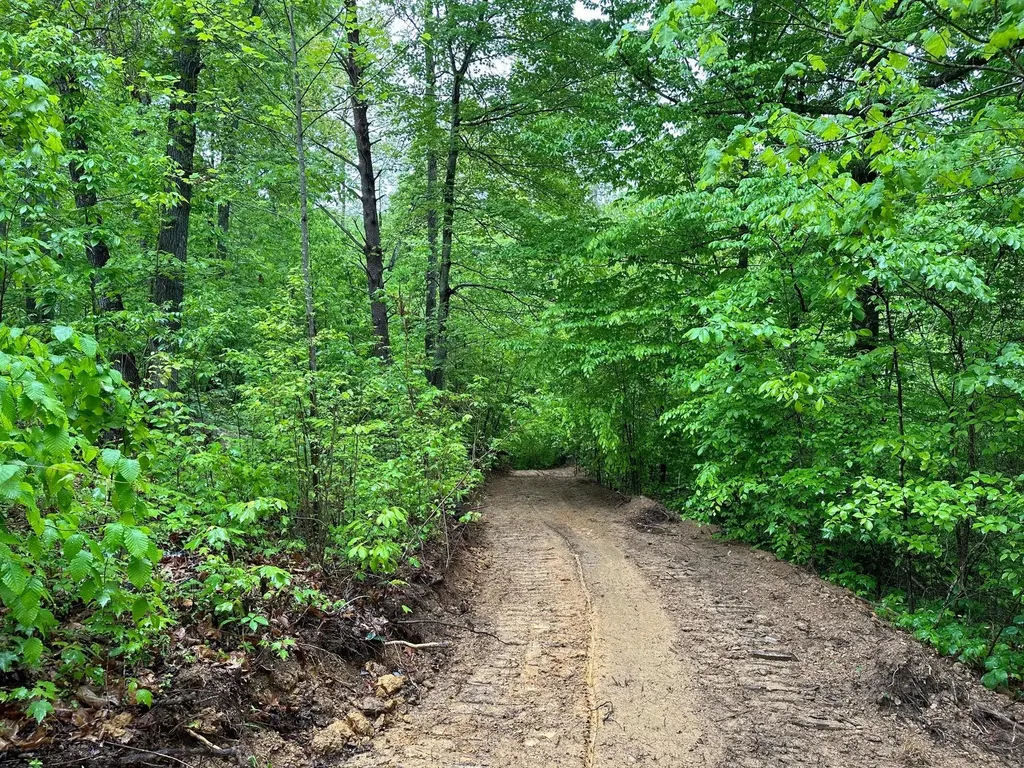 245 Mcconnell Branch Road Olive Hill KY 41164