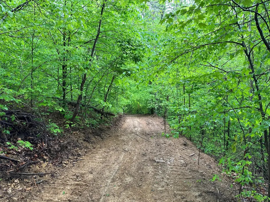 245 Mcconnell Branch Road Olive Hill KY 41164