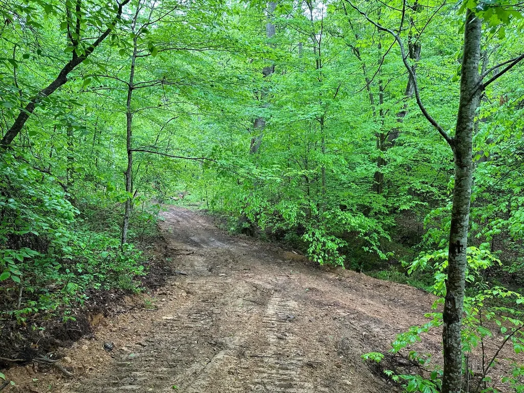245 Mcconnell Branch Road Olive Hill KY 41164