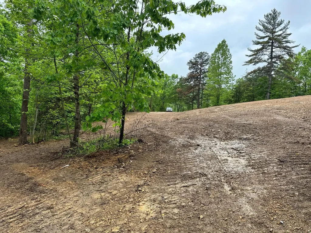 245 Mcconnell Branch Road Olive Hill KY 41164