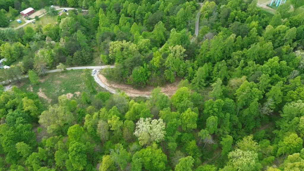 245 Mcconnell Branch Road Olive Hill KY 41164
