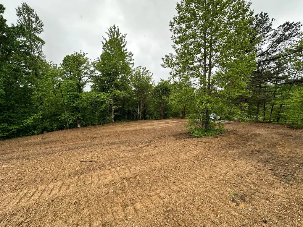245 Mcconnell Branch Road Olive Hill KY 41164