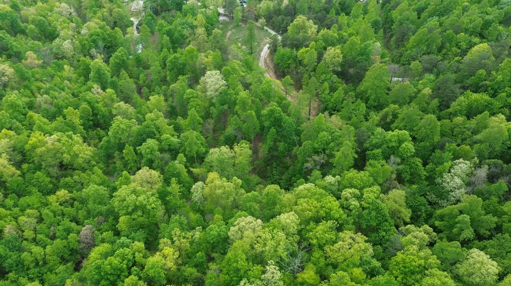 245 Mcconnell Branch Road Olive Hill KY 41164
