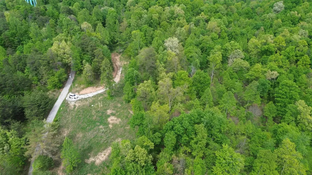 245 Mcconnell Branch Road Olive Hill KY 41164