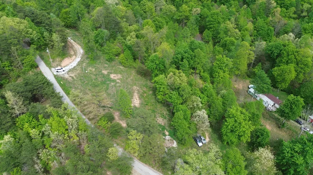 245 Mcconnell Branch Road Olive Hill KY 41164