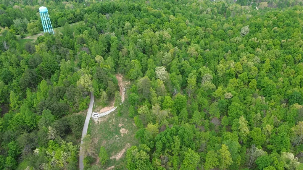 245 Mcconnell Branch Road Olive Hill KY 41164