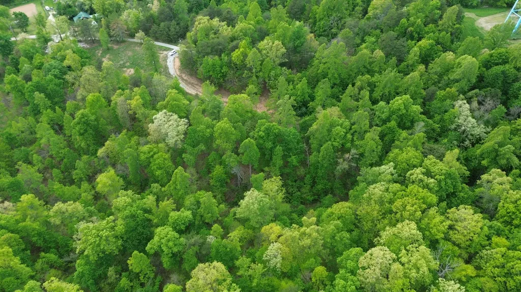 245 Mcconnell Branch Road Olive Hill KY 41164