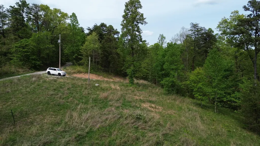 245 Mcconnell Branch Road Olive Hill KY 41164