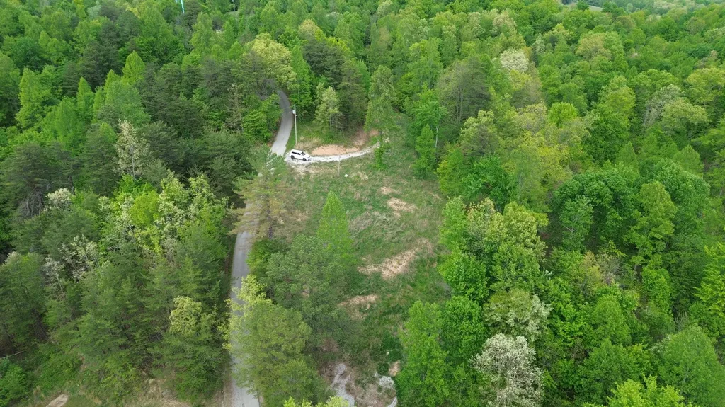 245 Mcconnell Branch Road Olive Hill KY 41164