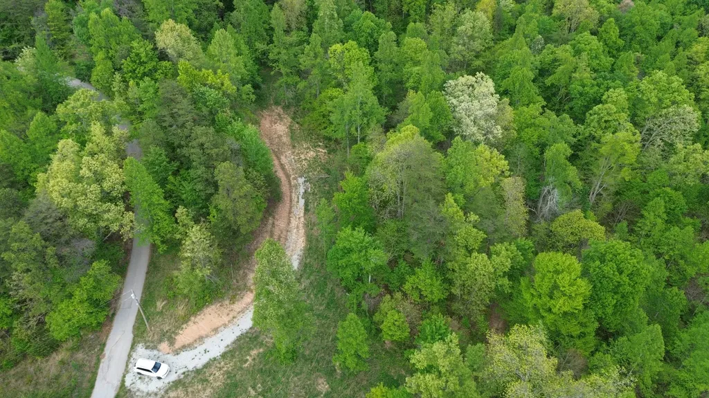 245 Mcconnell Branch Road Olive Hill KY 41164