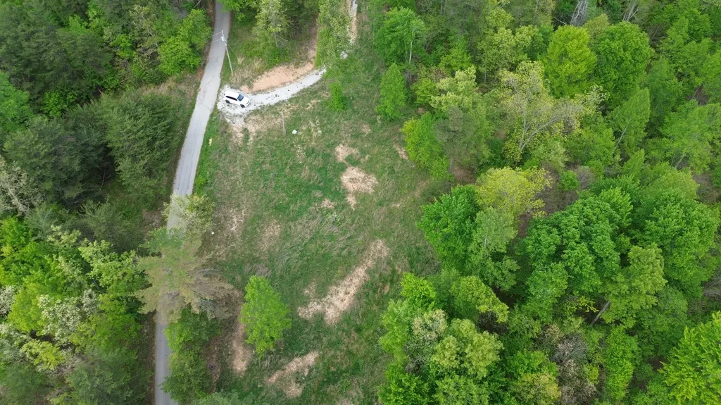 245 Mcconnell Branch Road Olive Hill KY 41164