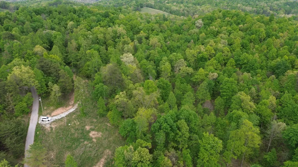 245 Mcconnell Branch Road Olive Hill KY 41164