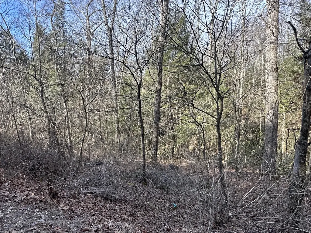 9C Baldwin Road Mckee KY 40447