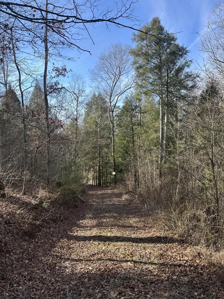 9C Baldwin Road Mckee KY 40447