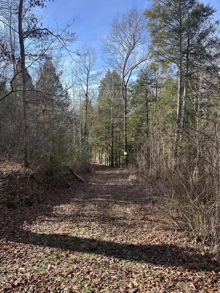 9C Baldwin Road Mckee KY 40447