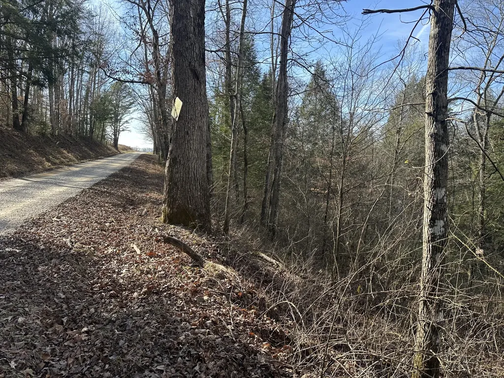 9C Baldwin Road Mckee KY 40447