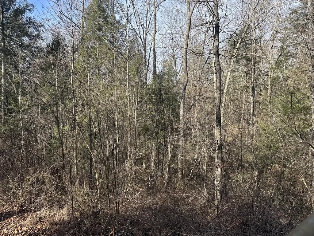 9C Baldwin Road Mckee KY 40447