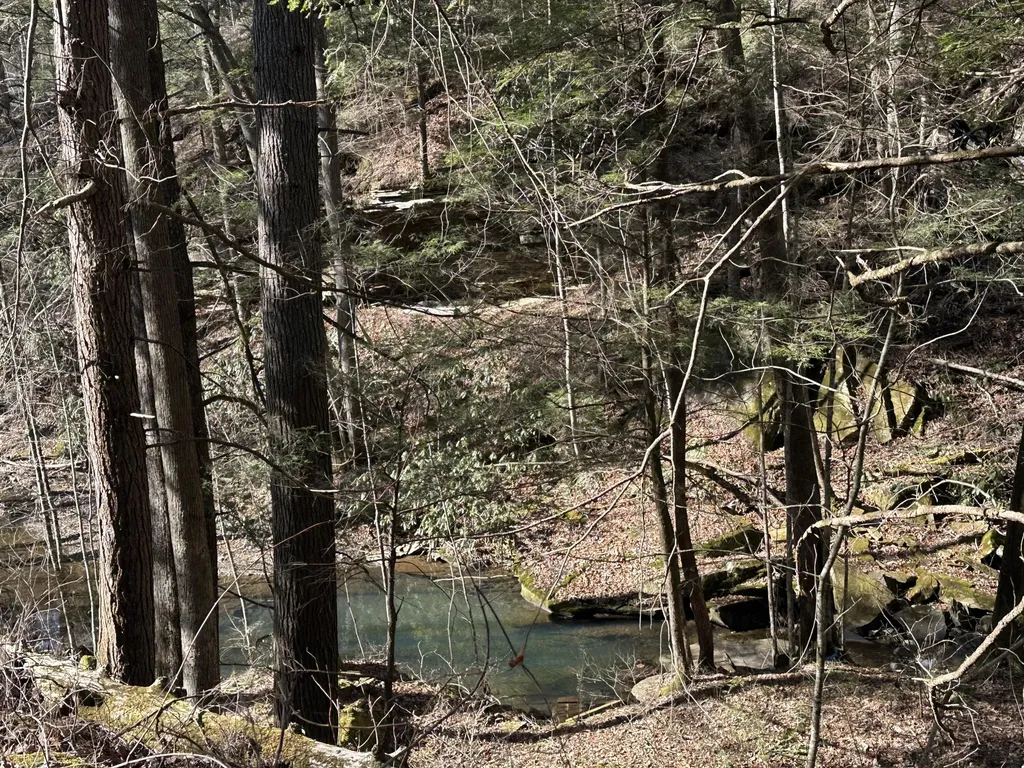 9C Baldwin Road Mckee KY 40447