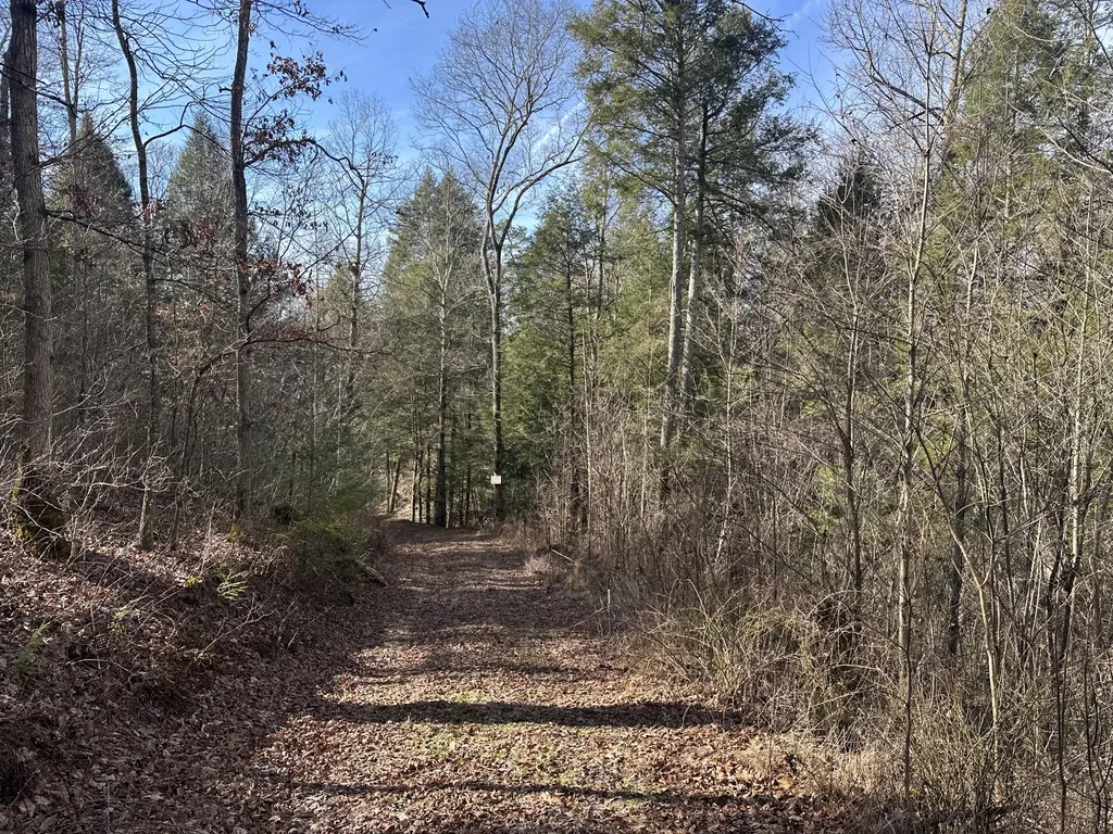 9C Baldwin Road Mckee KY 40447