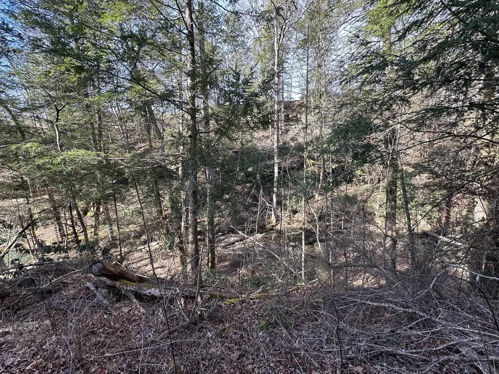 9C Baldwin Road Mckee KY 40447