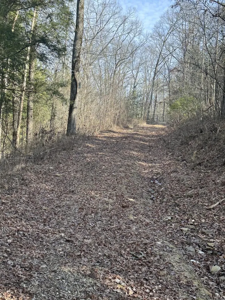9C Baldwin Road Mckee KY 40447