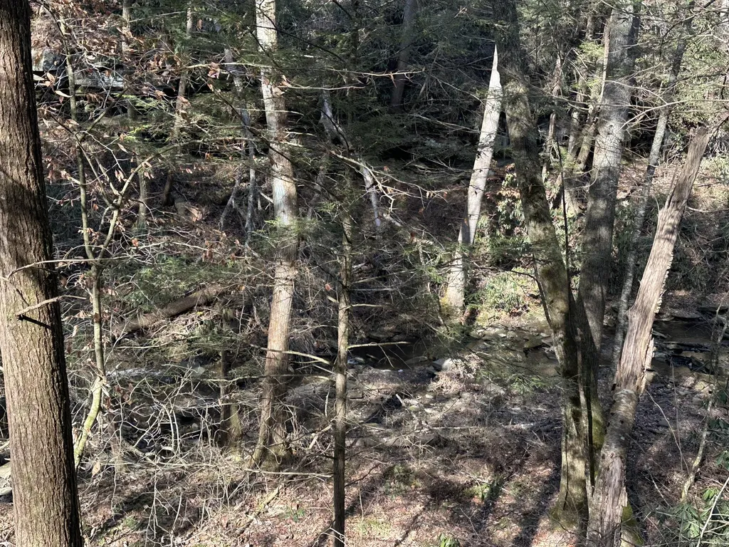 9C Baldwin Road Mckee KY 40447