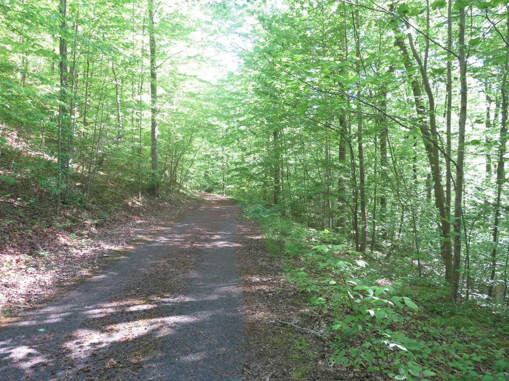 9999 Lots 225, 227, 228231 Stillwater Russell Springs KY 42642