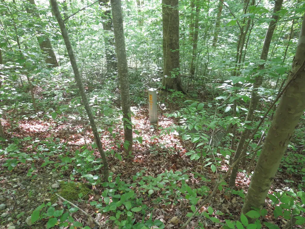 9999 Lots 225, 227, 228231 Stillwater Russell Springs KY 42642