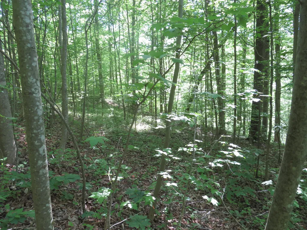 9999 Lots 225, 227, 228231 Stillwater Russell Springs KY 42642