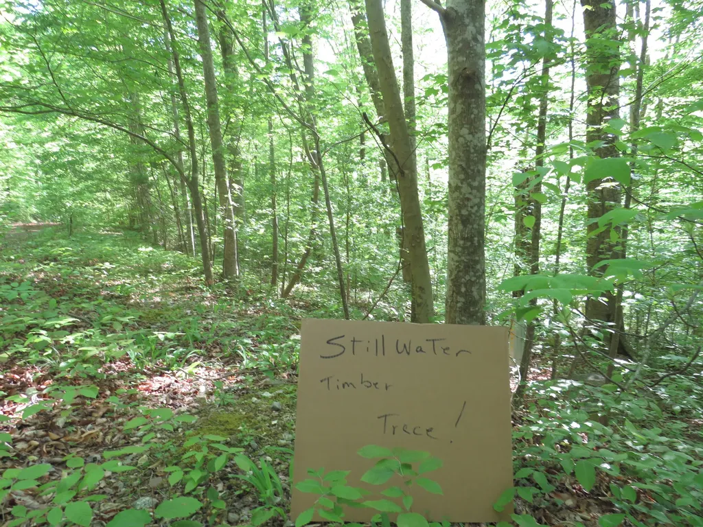 9999 Lots 225, 227, 228231 Stillwater Russell Springs KY 42642
