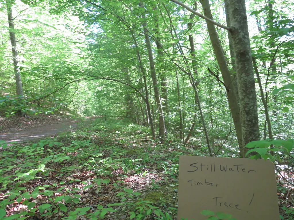 9999 Lots 225, 227, 228231 Stillwater Russell Springs KY 42642