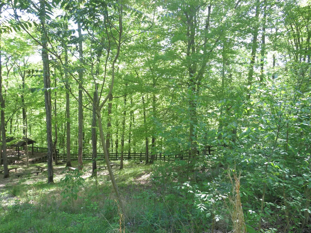 9999 Lots 225, 227, 228231 Stillwater Russell Springs KY 42642