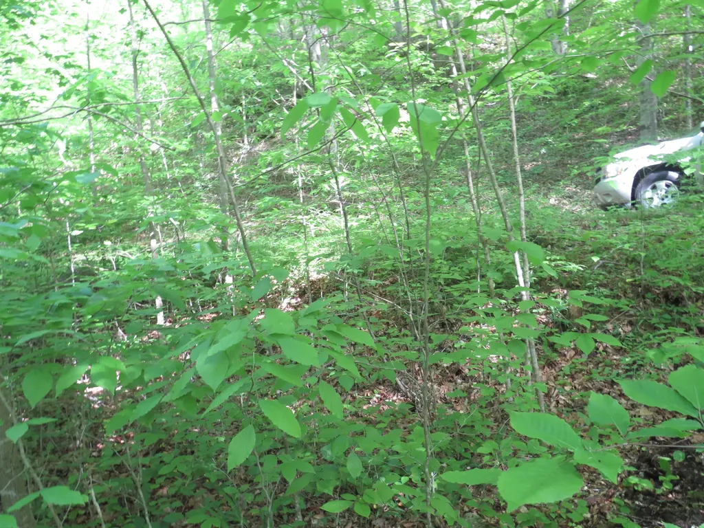 9999 Lots 225, 227, 228231 Stillwater Russell Springs KY 42642