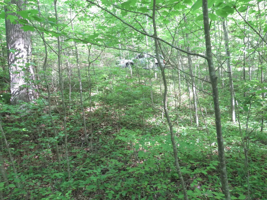 9999 Lots 225, 227, 228231 Stillwater Russell Springs KY 42642