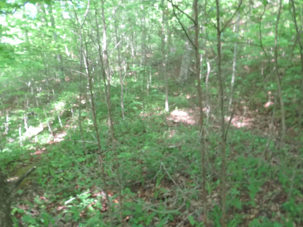 9999 Lots 225, 227, 228231 Stillwater Russell Springs KY 42642