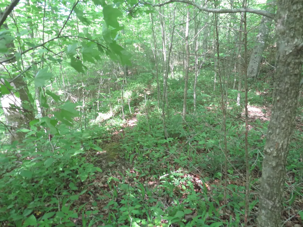9999 Lots 225, 227, 228231 Stillwater Russell Springs KY 42642