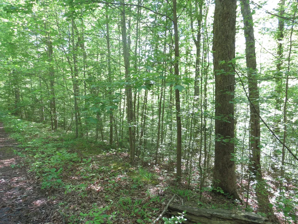 9999 Lots 225, 227, 228231 Stillwater Russell Springs KY 42642