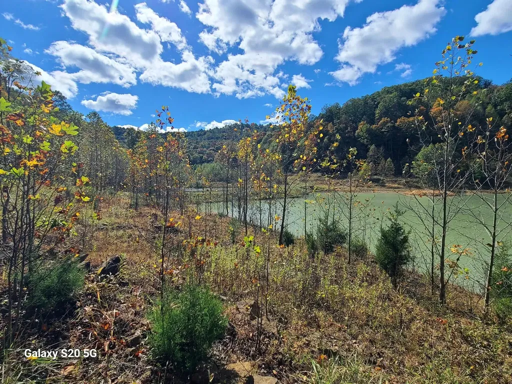 Parcel 1 & 2 Lazy Bee Lane Vanceburg KY 41179