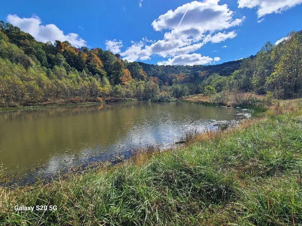 Parcel 1 & 2 Lazy Bee Lane Vanceburg KY 41179