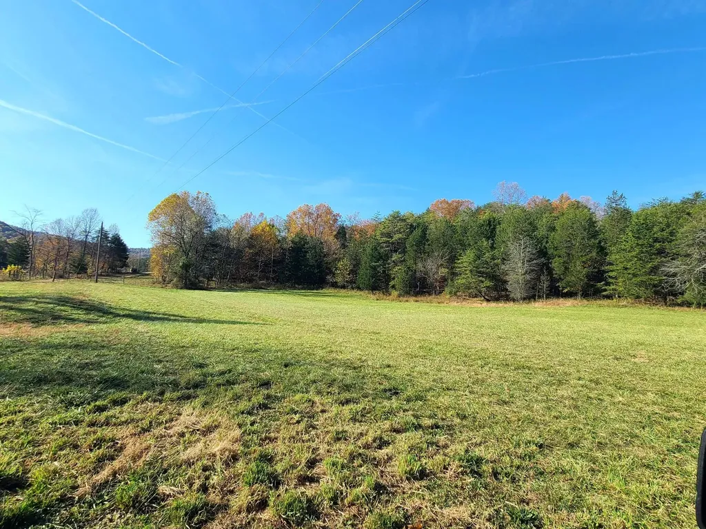 Parcel 1 & 2 Lazy Bee Lane Vanceburg KY 41179