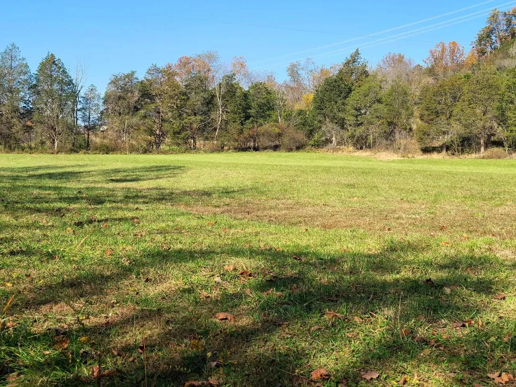 Parcel 1 & 2 Lazy Bee Lane Vanceburg KY 41179