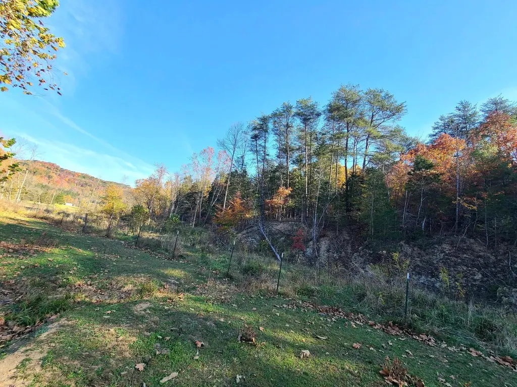 Parcel 1 & 2 Lazy Bee Lane Vanceburg KY 41179
