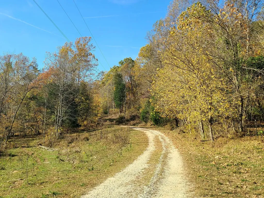 Parcel 1 & 2 Lazy Bee Lane Vanceburg KY 41179