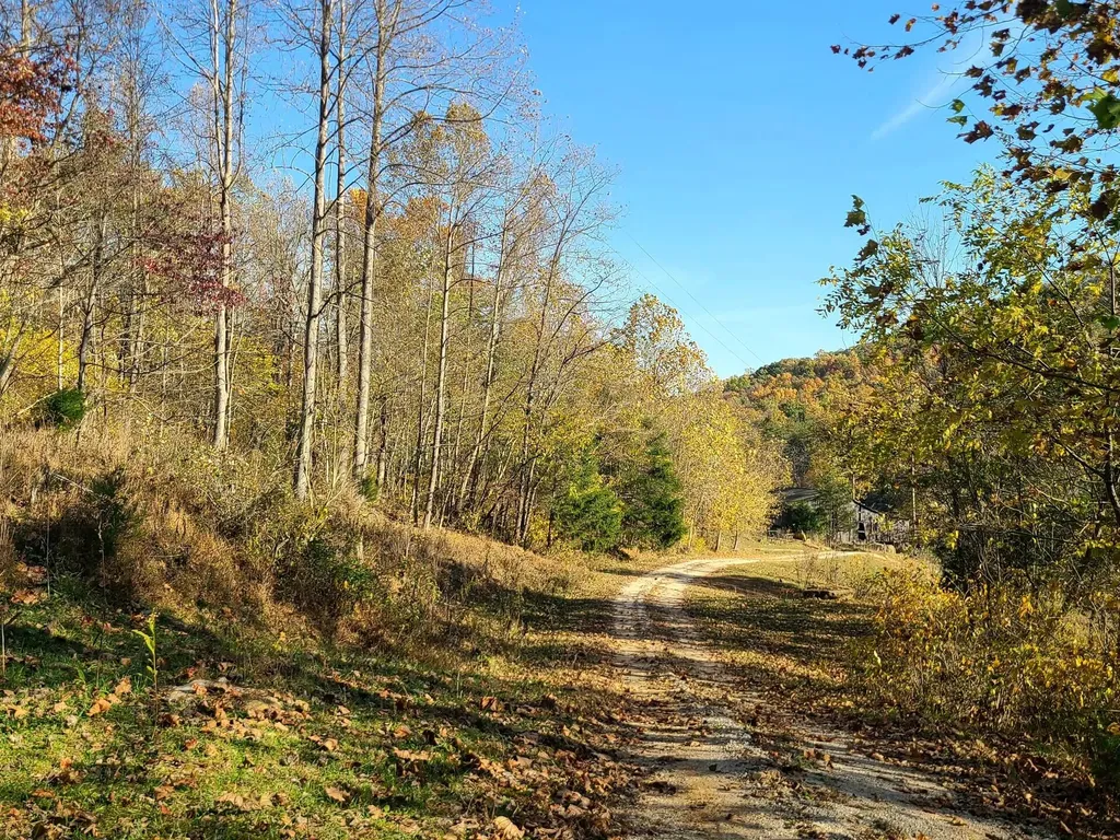 Parcel 1 & 2 Lazy Bee Lane Vanceburg KY 41179