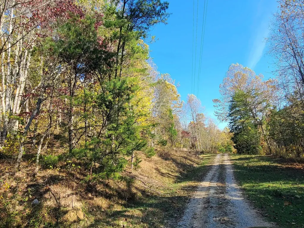 Parcel 1 & 2 Lazy Bee Lane Vanceburg KY 41179