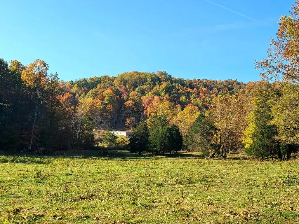 Parcel 1 & 2 Lazy Bee Lane Vanceburg KY 41179
