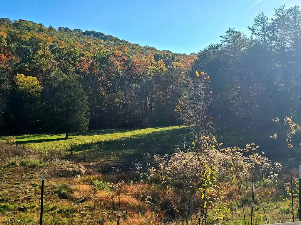 Parcel 1 & 2 Lazy Bee Lane Vanceburg KY 41179